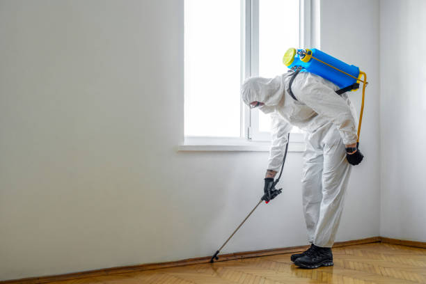 Insect Control in Highlands, NJ