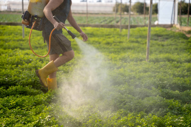 Best Commercial Pest Control Services  in Highlands, NJ