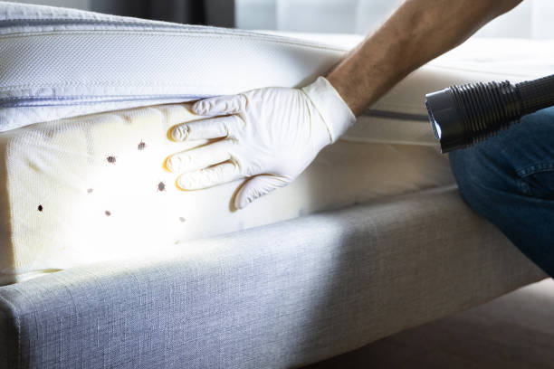 Best Mosquito Control Services  in Highlands, NJ