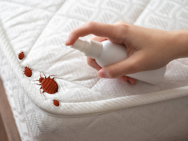 Best Local Pest Control Services  in Highlands, NJ