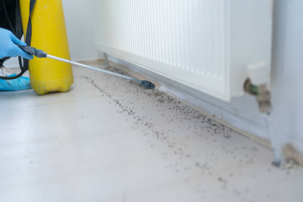 Best Affordable Pest Control Services  in Highlands, NJ
