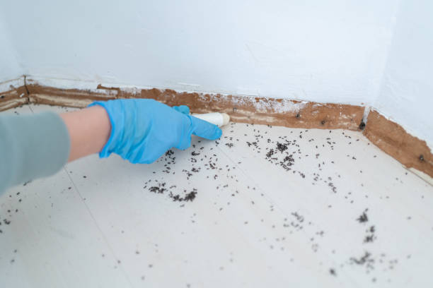 Best Wildlife Control Services  in Highlands, NJ